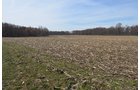 Property photo 90 - REAL ESTATE & PERSONAL PROPERTY AUCTION, 140 Acres offered in 8 Tracts or Combinations in Steuben County